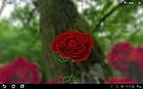 Amazon Com 3d Rose Live Wallpaper Free Appstore For Android