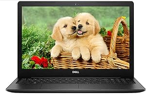 Newest Dell Inspiron 15 3000 15.6