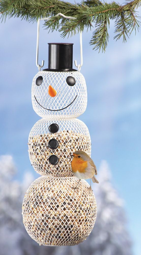 Solar Powered Snowman Wild Bird Feeder Review unique rare bird