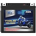 TPE YTX20l-BS High Performance Rechargeable Sealed AGM and Maintenance-Free Replacement Motorcycle Battery for Scooter, Kawasaki, Honda, Yamaha, ATV 12V 18Ah