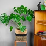 tenn well 20cm Cotton Plant Pot with Liner Indoor Planter Woven Storage Basket view 5