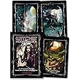 Witches' Moon Magick Oracle