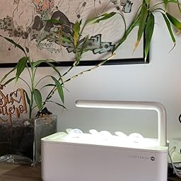 Emsa Click & Grow Smart Garden 9 unidades M52619, Semillas Smart ...