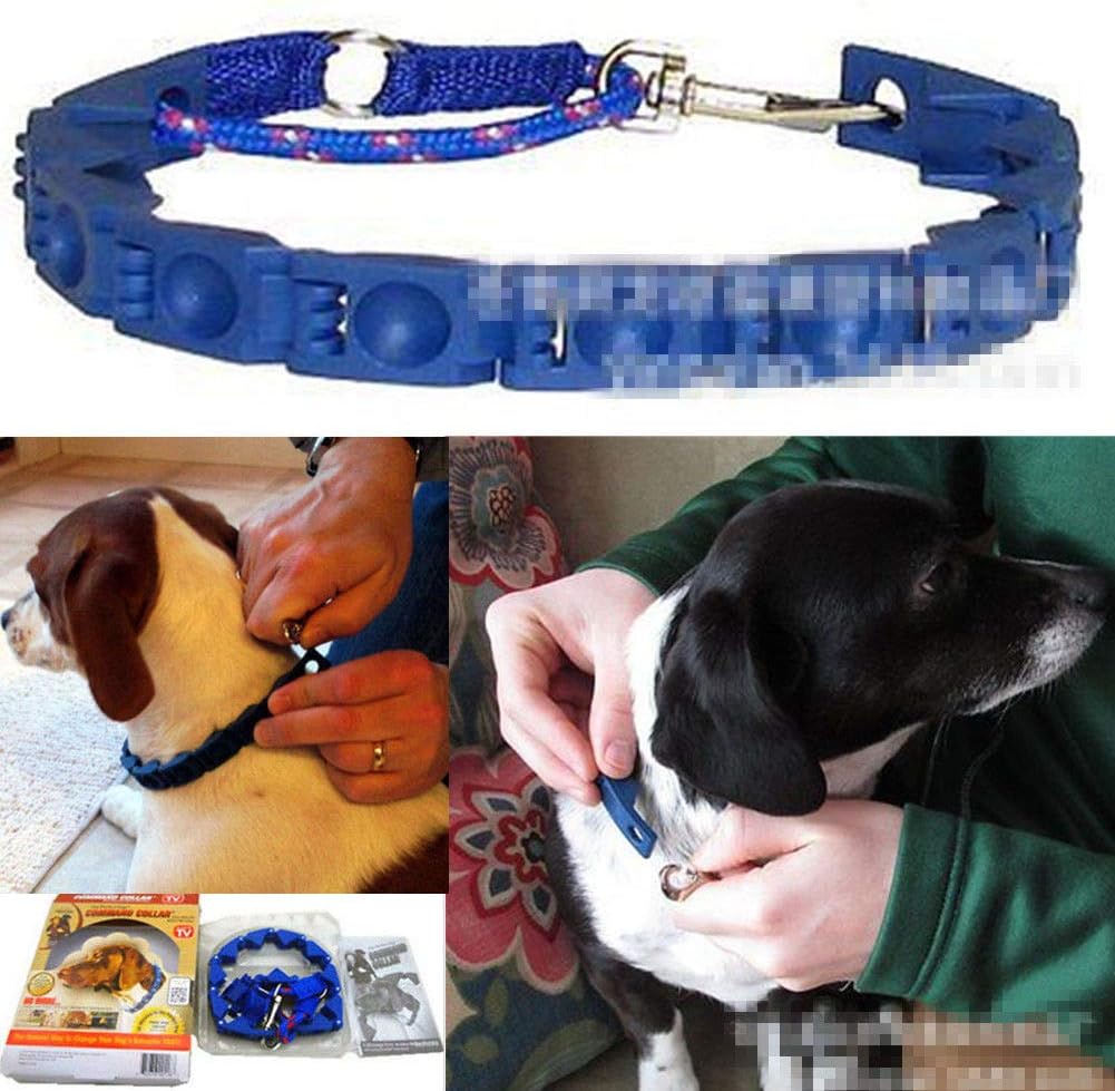 the command collar
