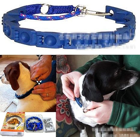 don sullivan perfect dog command collar