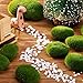 TecUnite 20 Pieces Artificial Moss Rocks Decorative Faux Green Moss Covered Stones (4 Size)