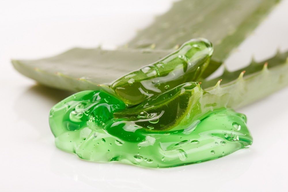 Pure Aloe Vera Gel, Clear Gel, 5 l (Pack of 1) - Image 3