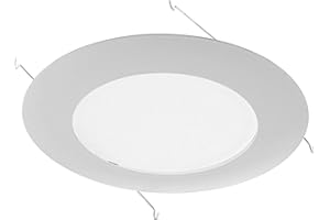 Nicor 17575 Lexan Shower with Albalite Lens Trim for 17002A and 17003A 6-Inch IC
