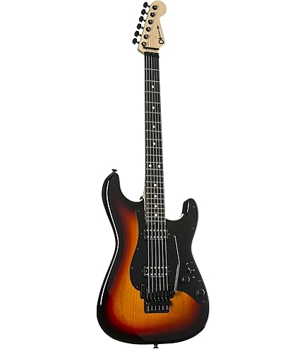 Amazon.com: Charvel Satchel Signature Pro-Mod DK22 HH FR M