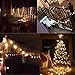 16ft Battery String Lights,KOLIER 50LEDs with Remote Control 8 Modes Battery Operated Christmas Lights Waterproof Indoor/Outdoor for Halloween/Christmas Tree/Bedroom/Wedding(Warm White)
