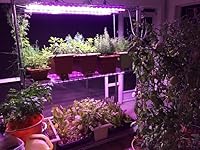 Review Image by adman adman