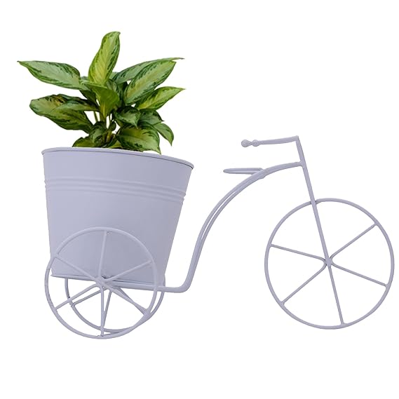 cinagro planter