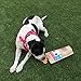 Petzos All Natural Dog Treats - Minty Morsels, Mint and Ginger Flavored, Gluten-and-Grain-Free Dog Biscuits - Tasty Dog Cookies 10 oz