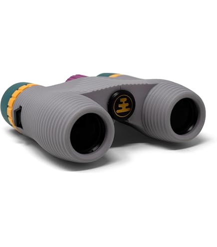 Amazon.com : OM SYSTEM Olympus 10x25 WP II Binocular (Black