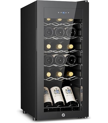 Amazon.com: Dometic MF-6W Silver 6-Bottle Wine Cooler : Home & Kitchen