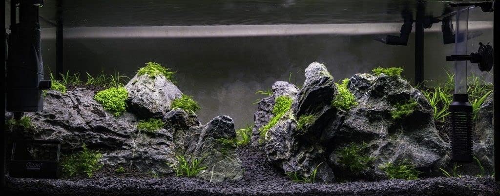 View 7