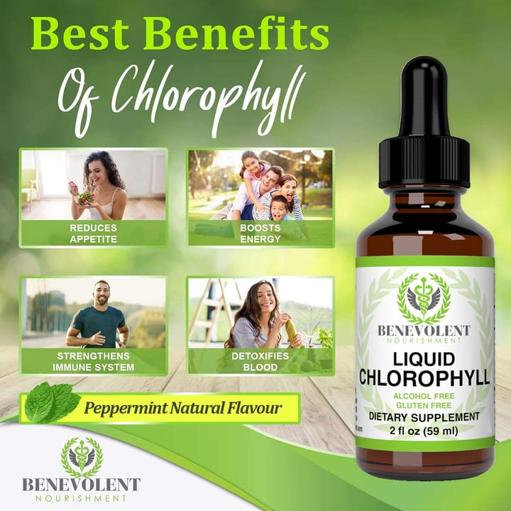 Benevolent Chlorophyll Liquid Drops 100 Natural + 4X Potency