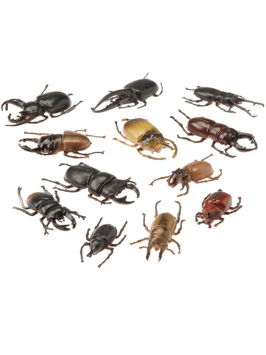 Buy Bugs (dozen) Online at Low Prices in India Amazon.in