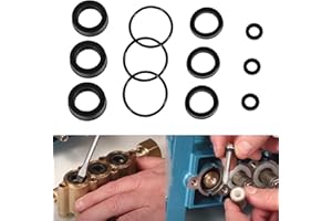 BESTTRUCK 12 PCS Replacement 76975 Seal Kit for 4DNX Pumps Fits for CAT 4DNX25GSI & 4DNX27GSI Pump