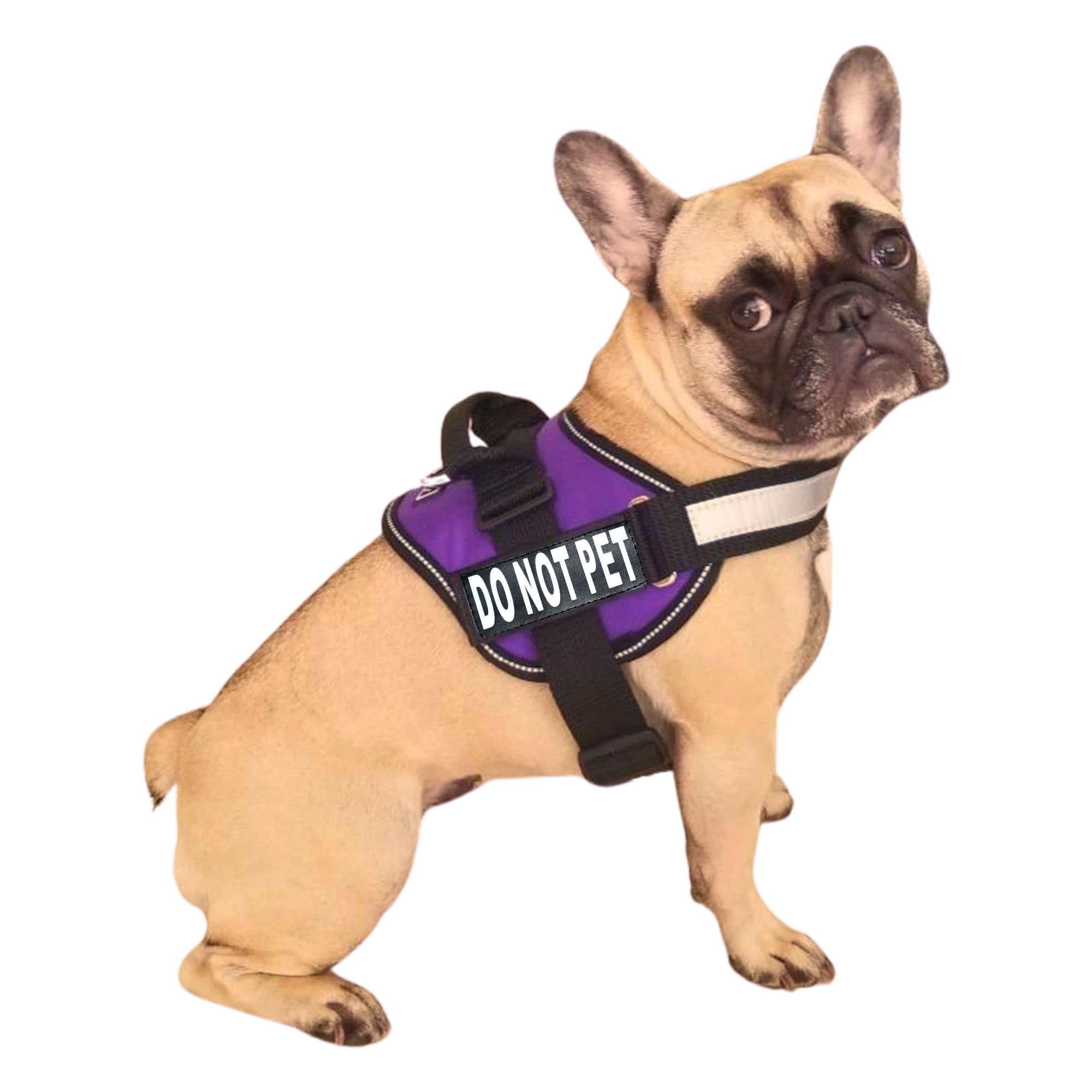 DO NOT PET Dog Vest Harness with Removable Patches and Reflective Trim. Comes with 2 DO NOT PET Reflective Removable Patches. Please Measure Dogs Girth Before Purchase