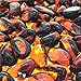 Bond Manufacturing 67998 Mini Lava Glass for Gas Fire Pits, Amber Sunset