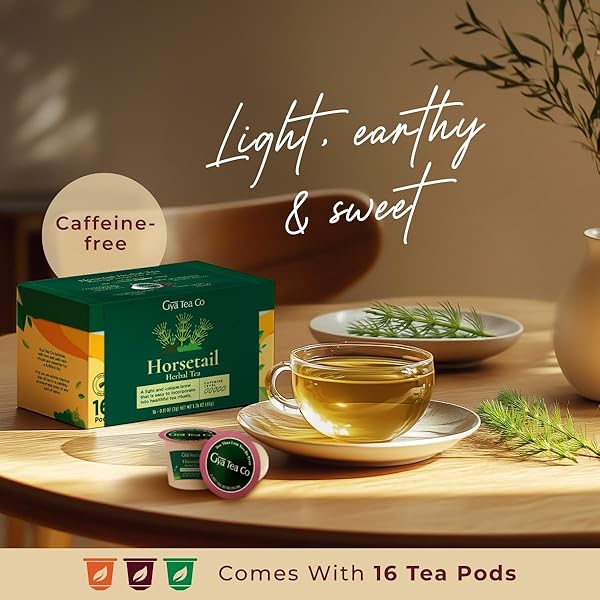 GYA TEA CO HORSETAIL HERBAL TEA POD (16 CT) – DECAF WELLNESS TEA RICH NUTRIENTS FOR HAIR CARE & DIGESTION HEALTH