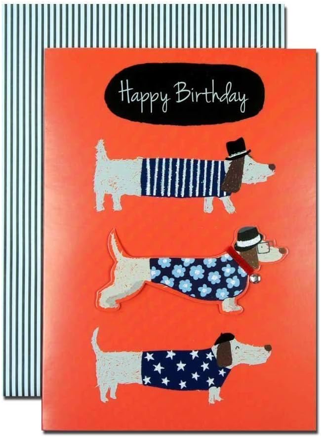Sausage Dog Birthday Greeting Card Second Nature Yours Truly Cards, 210 x 290 mm