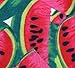 Women's Multi Digital Printed Crop Vest Tank Tops (Watermelon)
