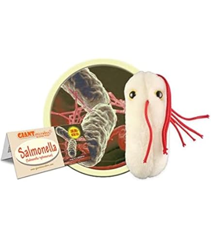 Giant Microbes Acidophilus Plush - Educational Probiotic Bacteria Toy For Gut Health Learning