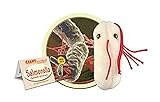GIANTmicrobes Salmonella Plush -Learn About Food