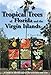 Tropical Trees of Florida and the Virgin Islands: A Guide to Identification, Characteristics and Uses