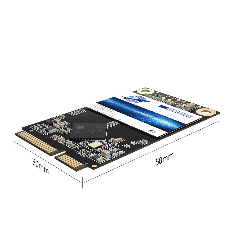 Mua Dogfish Msata 64GB Internal Solid State Drive Mini Sata SSD Disk ...