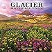 2017 Glacier National Park Wall Calendar