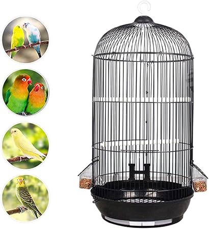 bird cage store