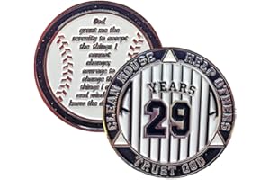 MYRECOVERYSTORE 29 Year AA Medallion Pinstripe Yearly Alcoholics Anonymous chip w/Coin Holder