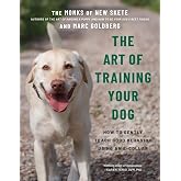 The Art of Training Your Dog: How to Gently Teach Good Behavior Using an E-Collar