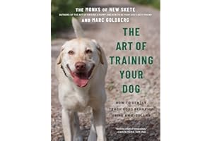 The Art of Training Your Dog: How to Gently Teach Good Behavior Using an E-Collar