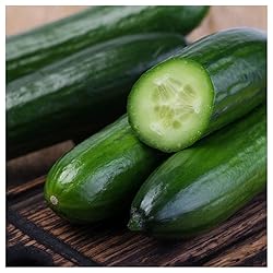 Everwilde Farms - 1 Oz Spacemaster Cucumber Seeds