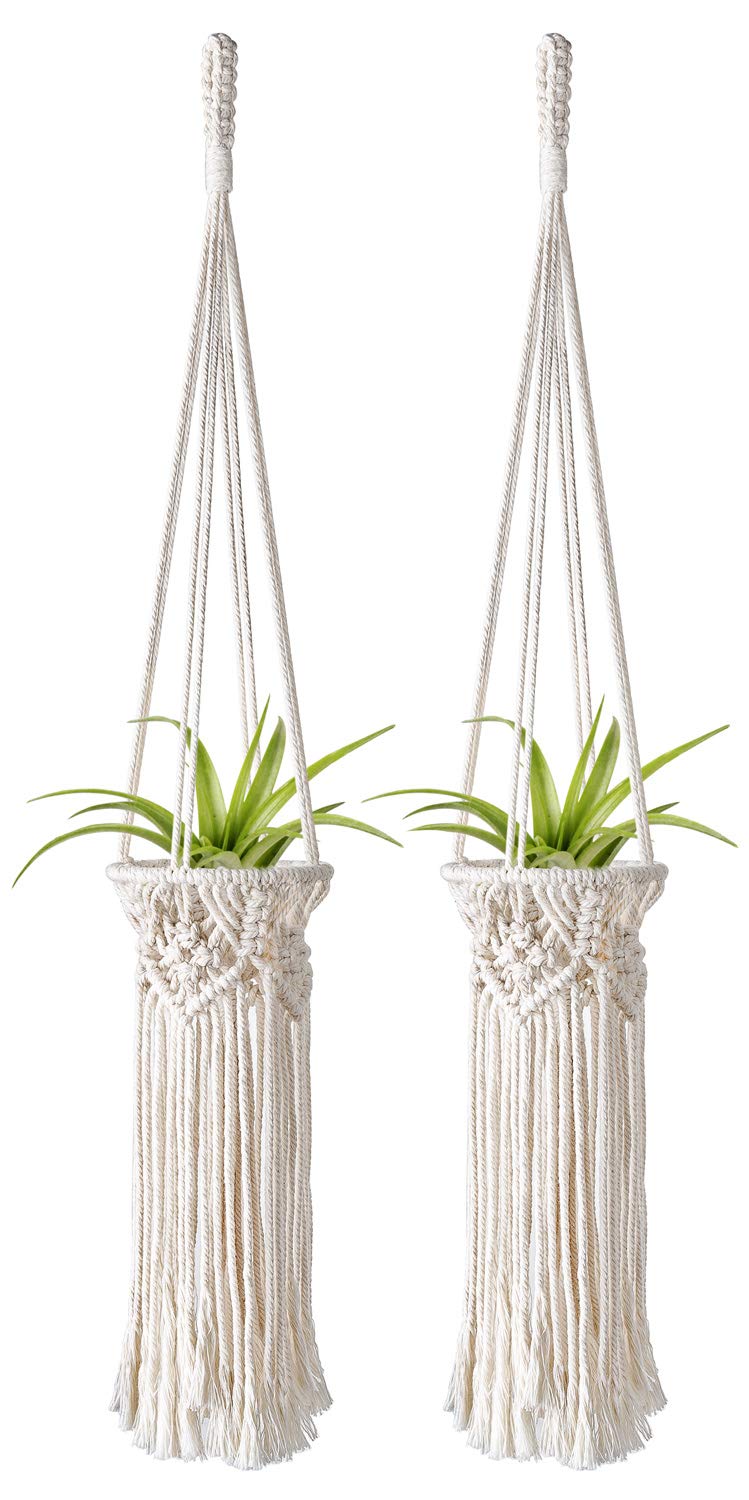 Best Tiny Home Plant Holders