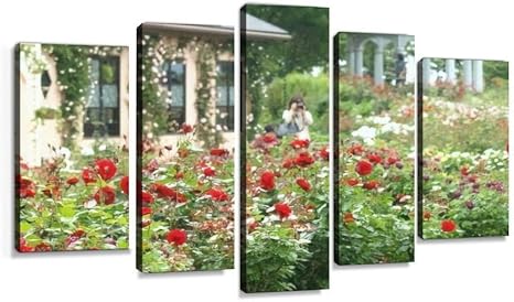 Amazon Co Jp 薔薇 バラ園 バラ 花 秋 秋の 春 春の びわ湖大津館 滋賀県 大津市 季節 イングリッシュガーデン 植物 庭園 庭 キャンバスアート アートボード 壁掛け装飾 おしゃれ 部屋飾り インテリアパネル 絵画 ポスター 木枠付きの完成品 ホーム キッチン