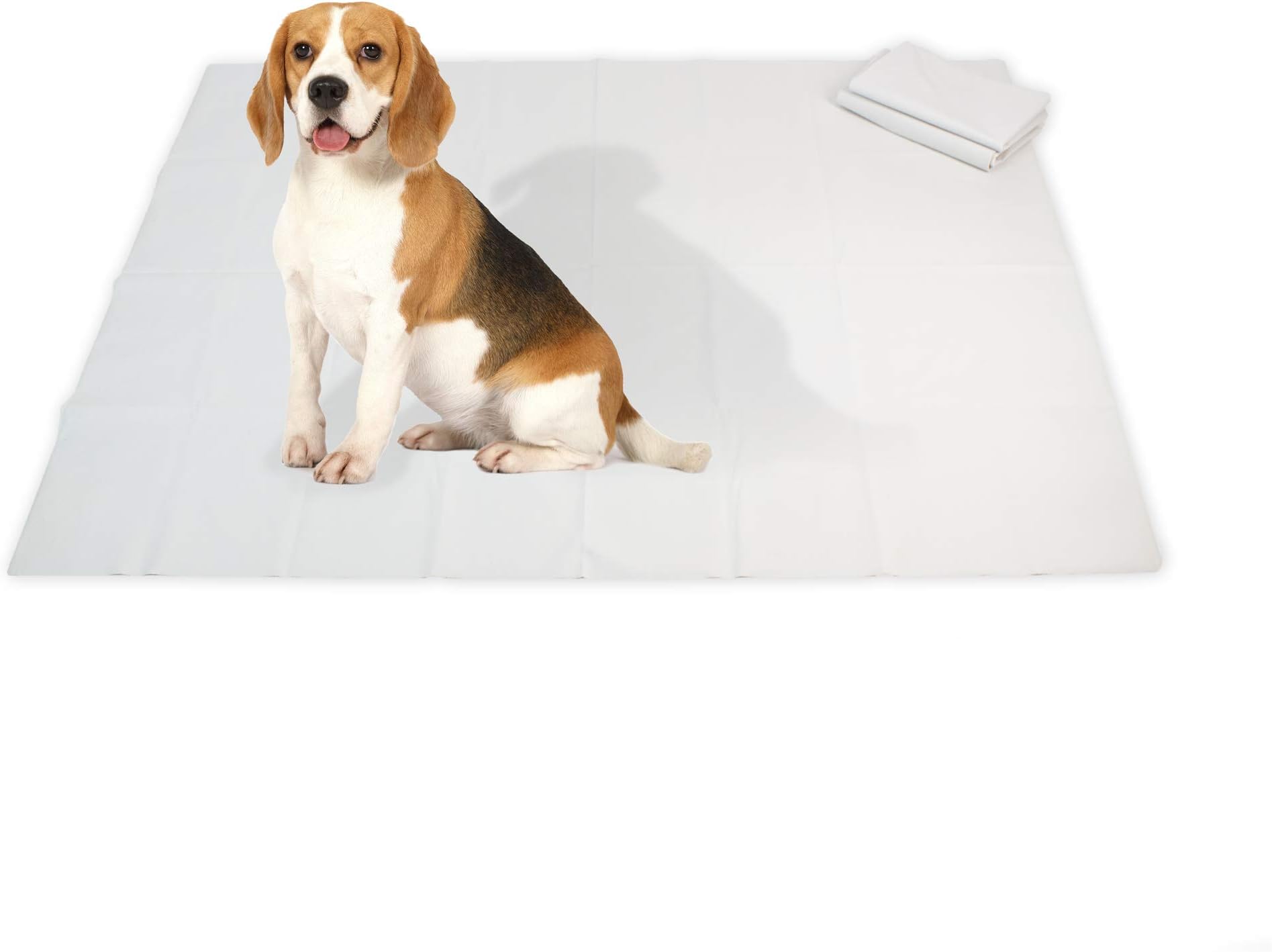 NAC HOME Dog Mat WATERPROOF REUSABLE 9OZ Heavy Duty NON RIP Construction Perfect Underlay/Liner for Beds Kennels Crates Food/Drink Bowls - PROTECTION for Furniture/Flooring/Car 1m x 1.2m small