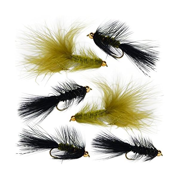 Woolly-Bugger-Trout-Fly-Fishing-Streamer-Assortment-6-Flies