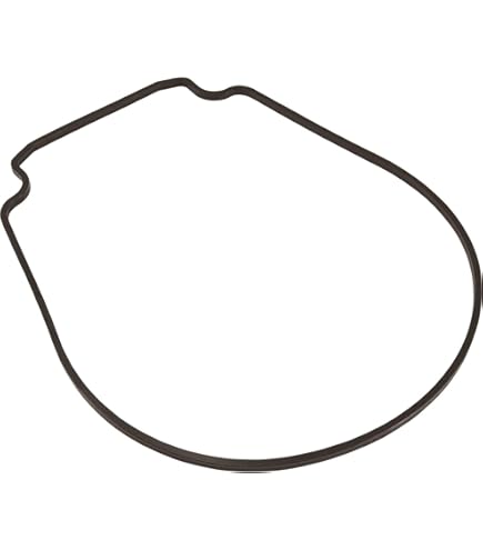 Amazon.com: Pentair 355227 Buna N 70 O-Ring Replacement Pool and