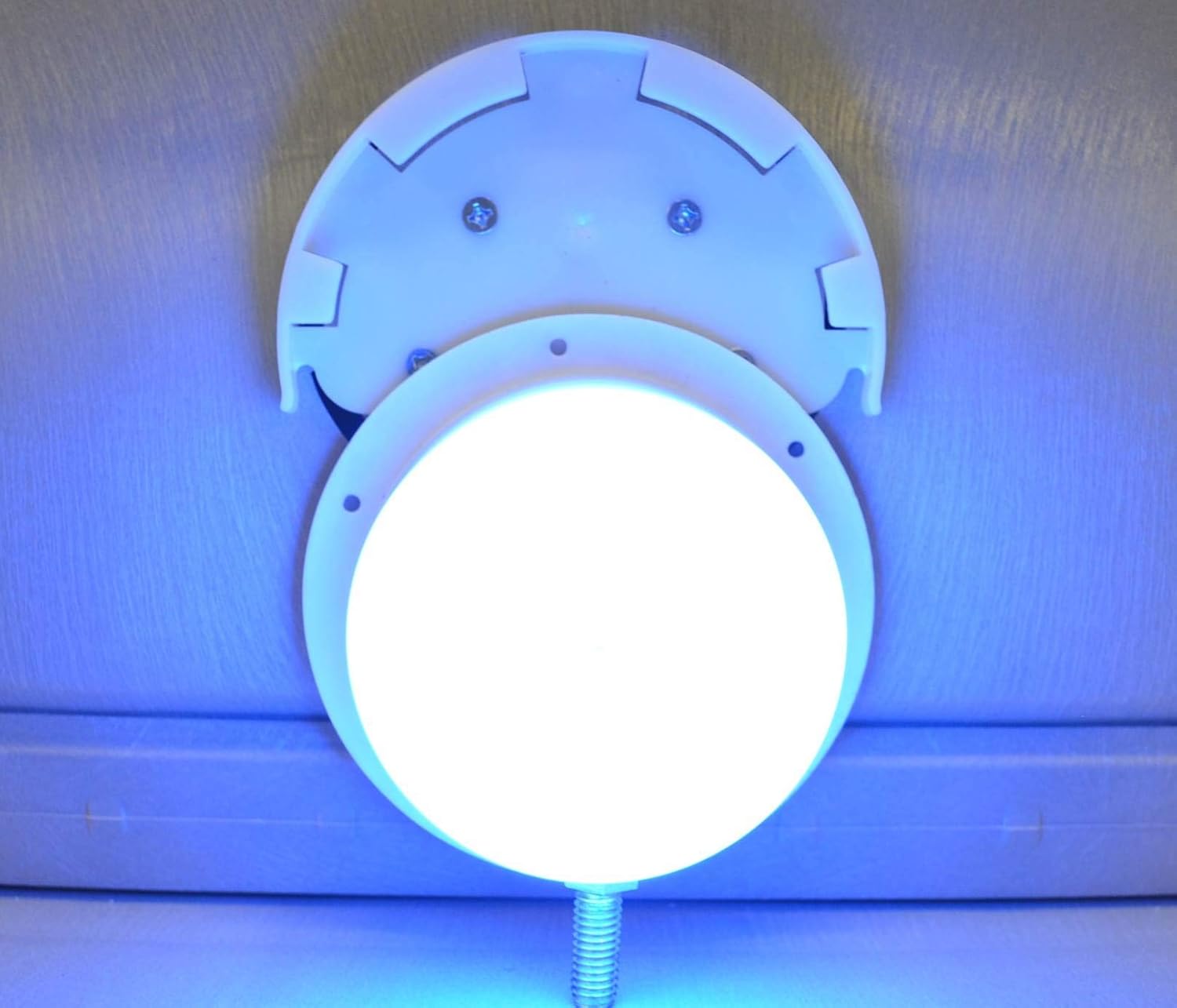 The 10 Best Pool Ladder Light