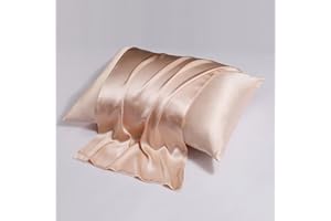 1 Pack Standard Size Satin Pillowcase for Hair and Skin Silky Cooling Pillow Cases with Envelope Closure (20 x 26 Inches, Cha