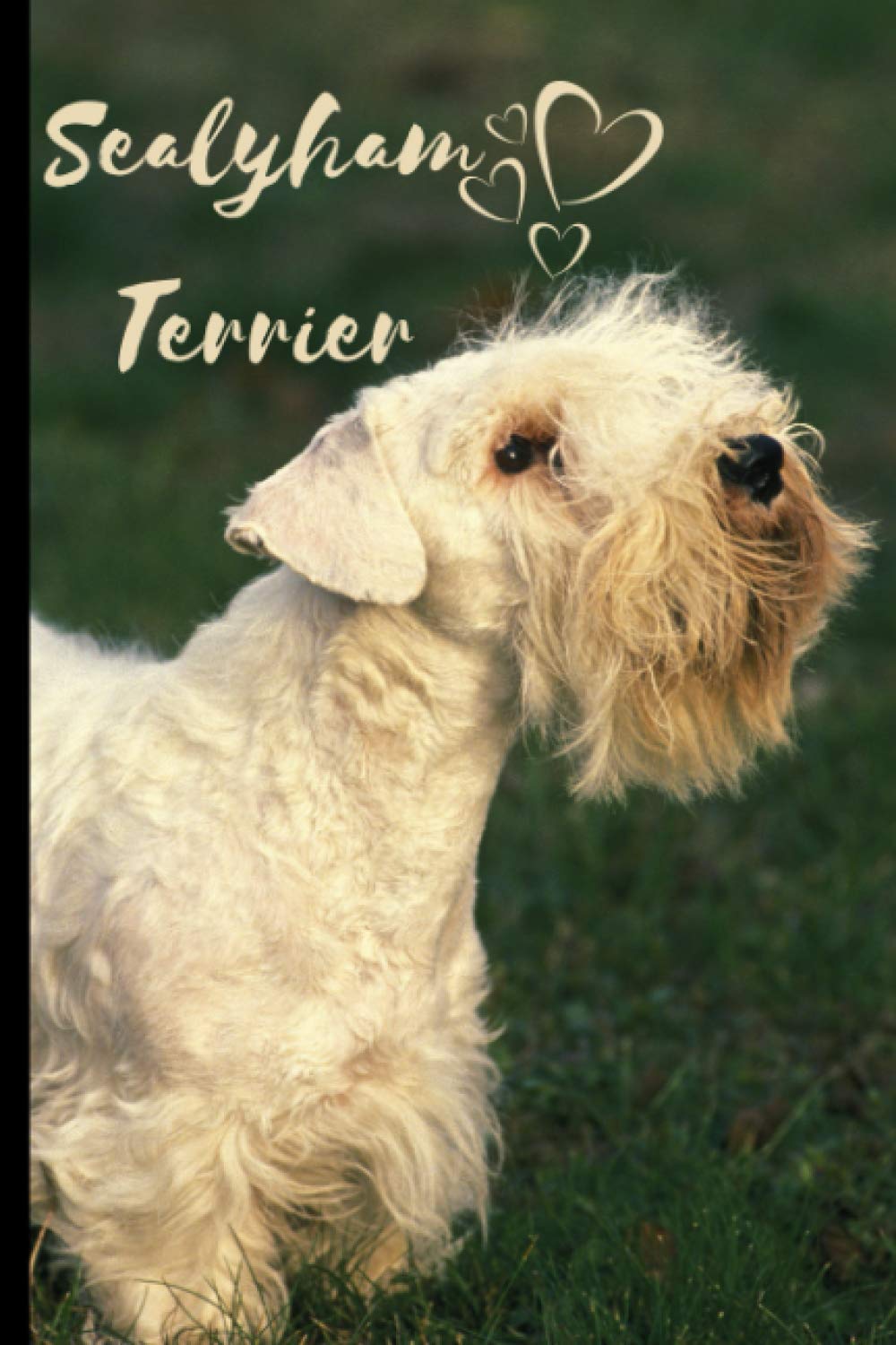 Sealyham Terrier Dog Notebook For Dog Lovers: Composition Notebook 6x9" Blank Lined Journal