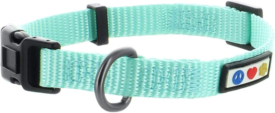 teal dog collar and leash