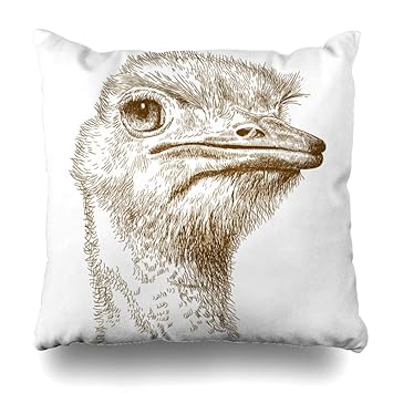 Amazon Com Ahawoso Throw Pillow Cover Engraved Emu Antique