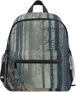 mountain backpack amazon