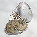 5PC Freshwater Cultured Love Wish Pearl Oyster with Pearl Inside Five Colors (Round Shape) (7-8mm).